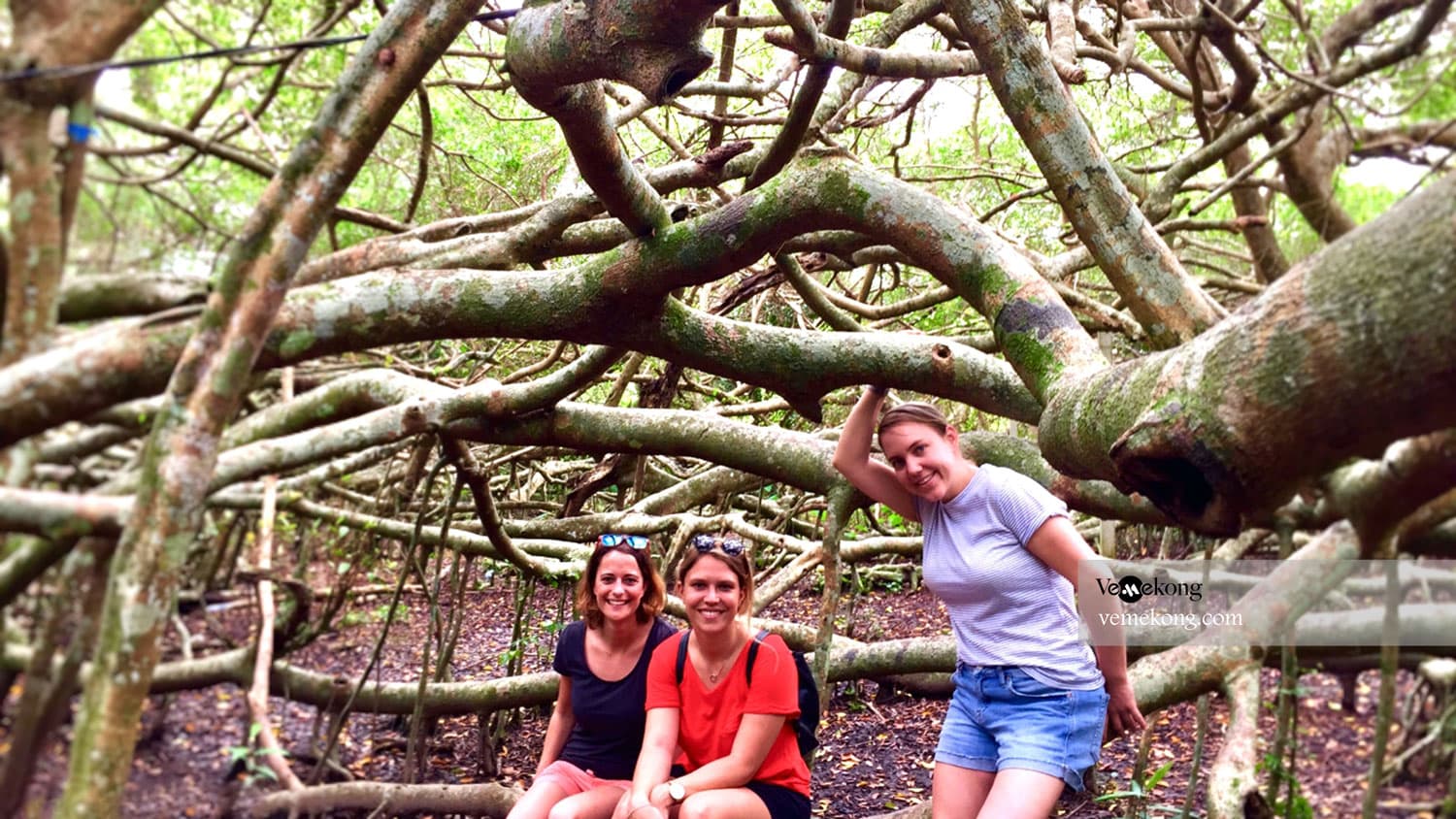 Can Tho Floating Market & Lung Ngoc Hoang Nature Reserve