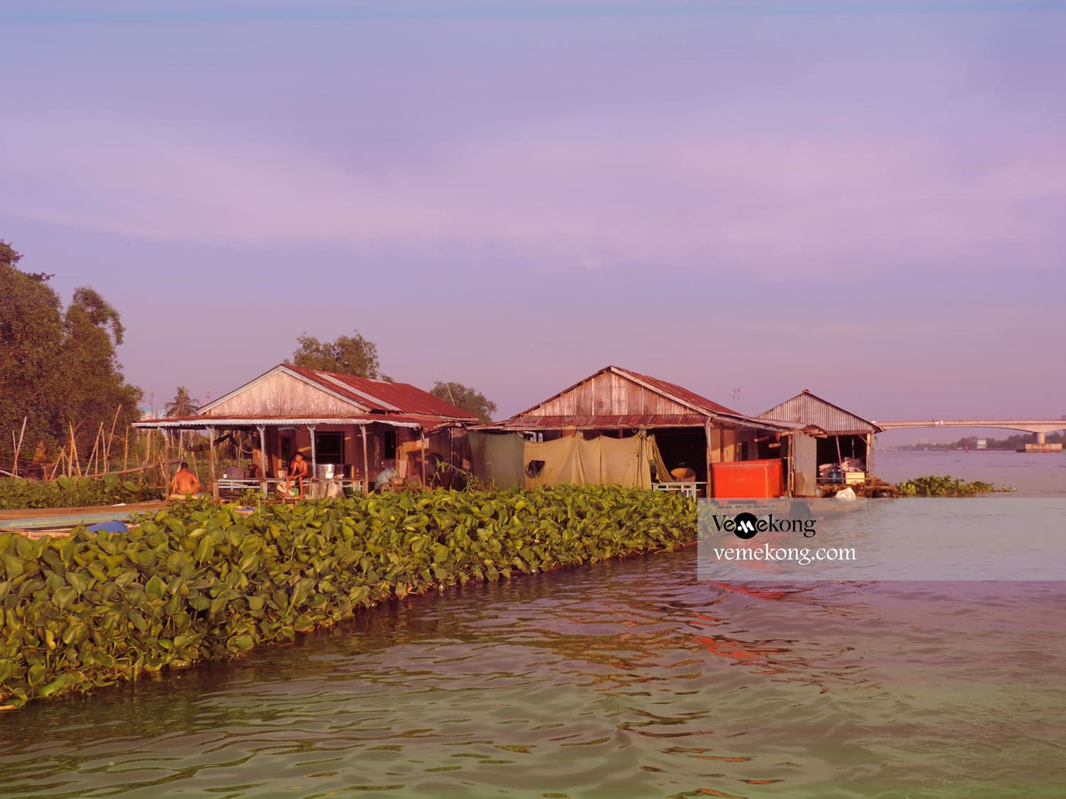 Afternoon in Can Tho & Sampan Ride
