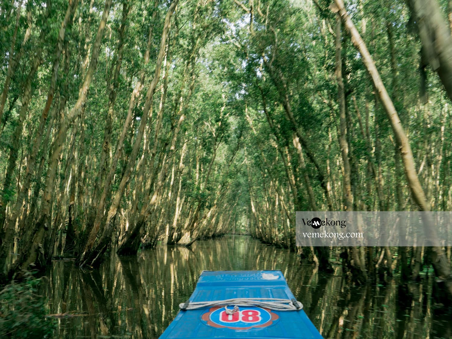 Tra Su Forest & Chau Doc River Tour