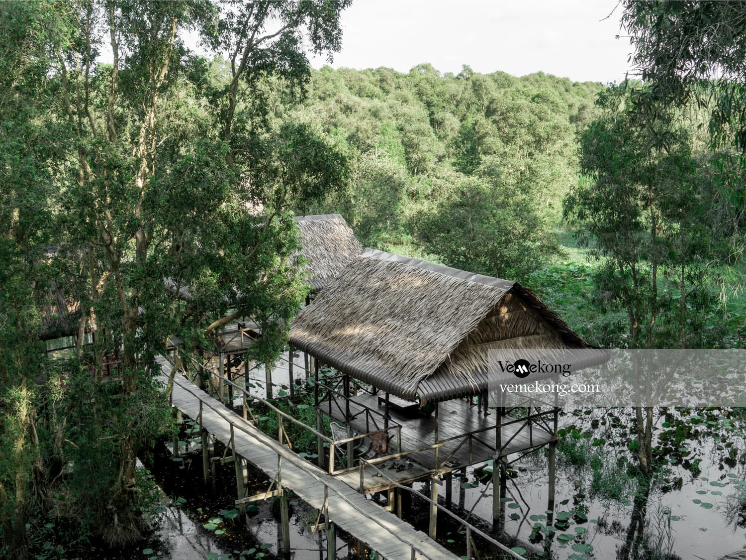 Tra Su Forest Tour From Chau Doc
