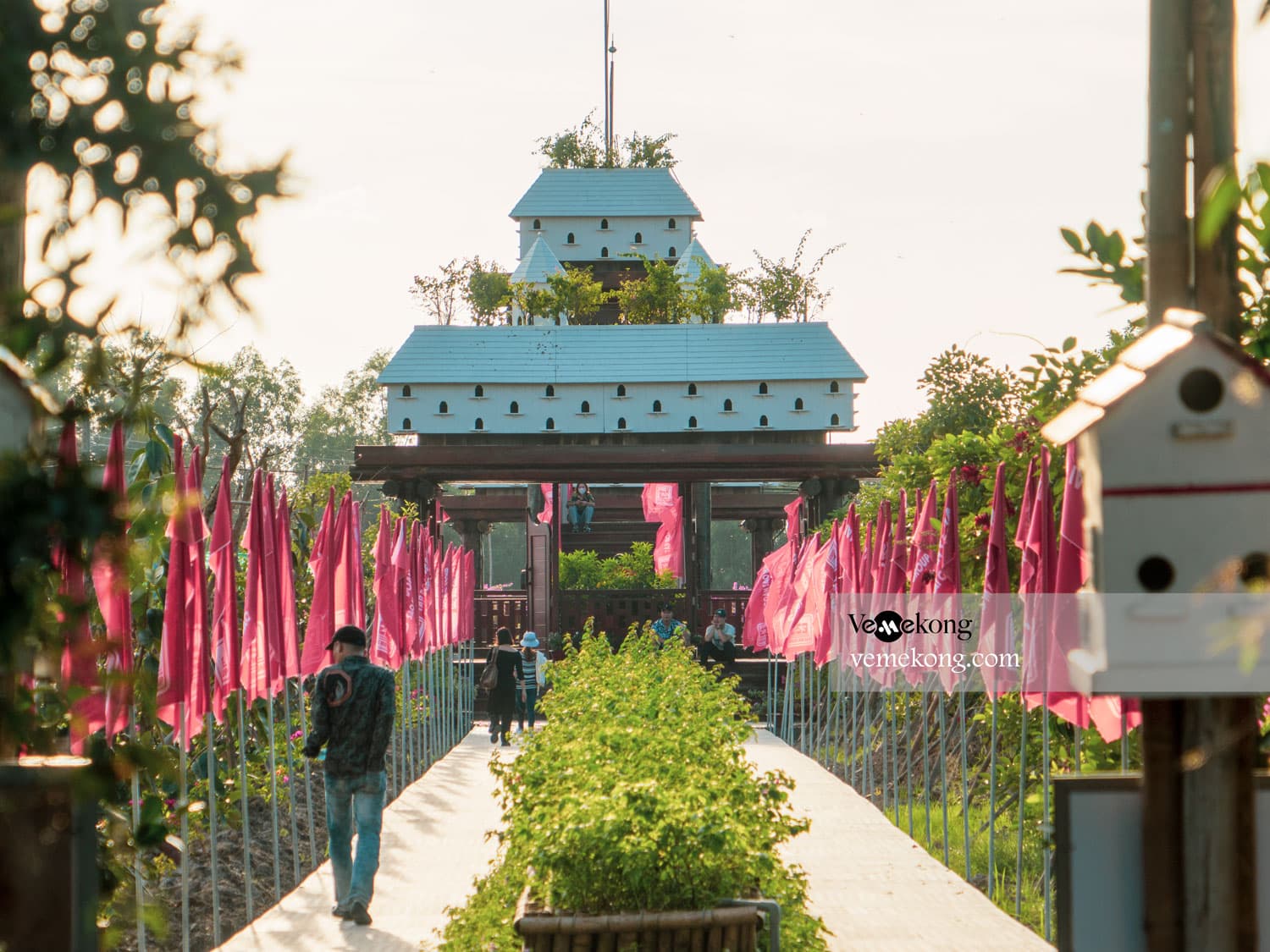 Tra Su Forest Tour From Chau Doc