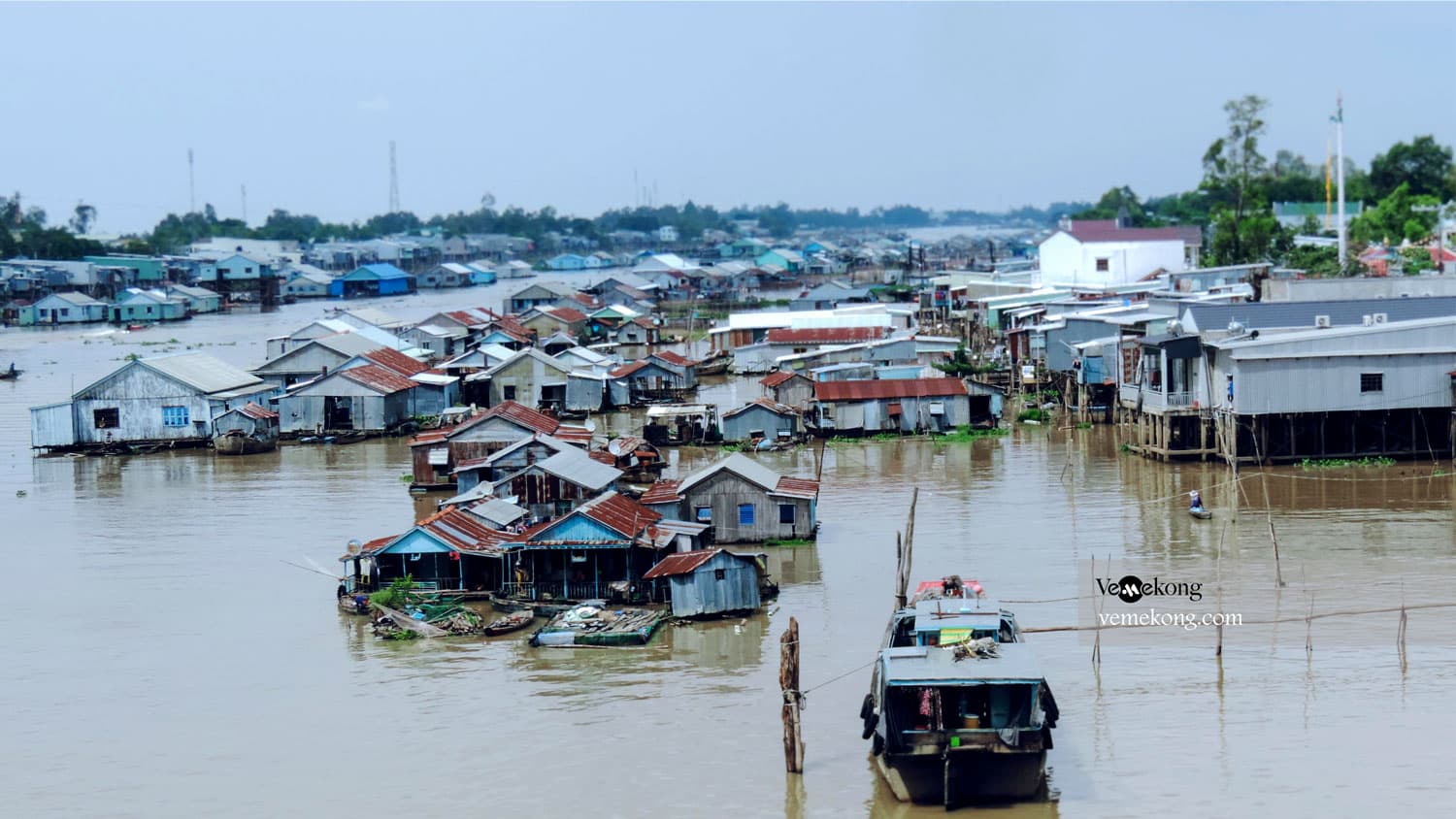 Tra Su Forest & Chau Doc River Tour