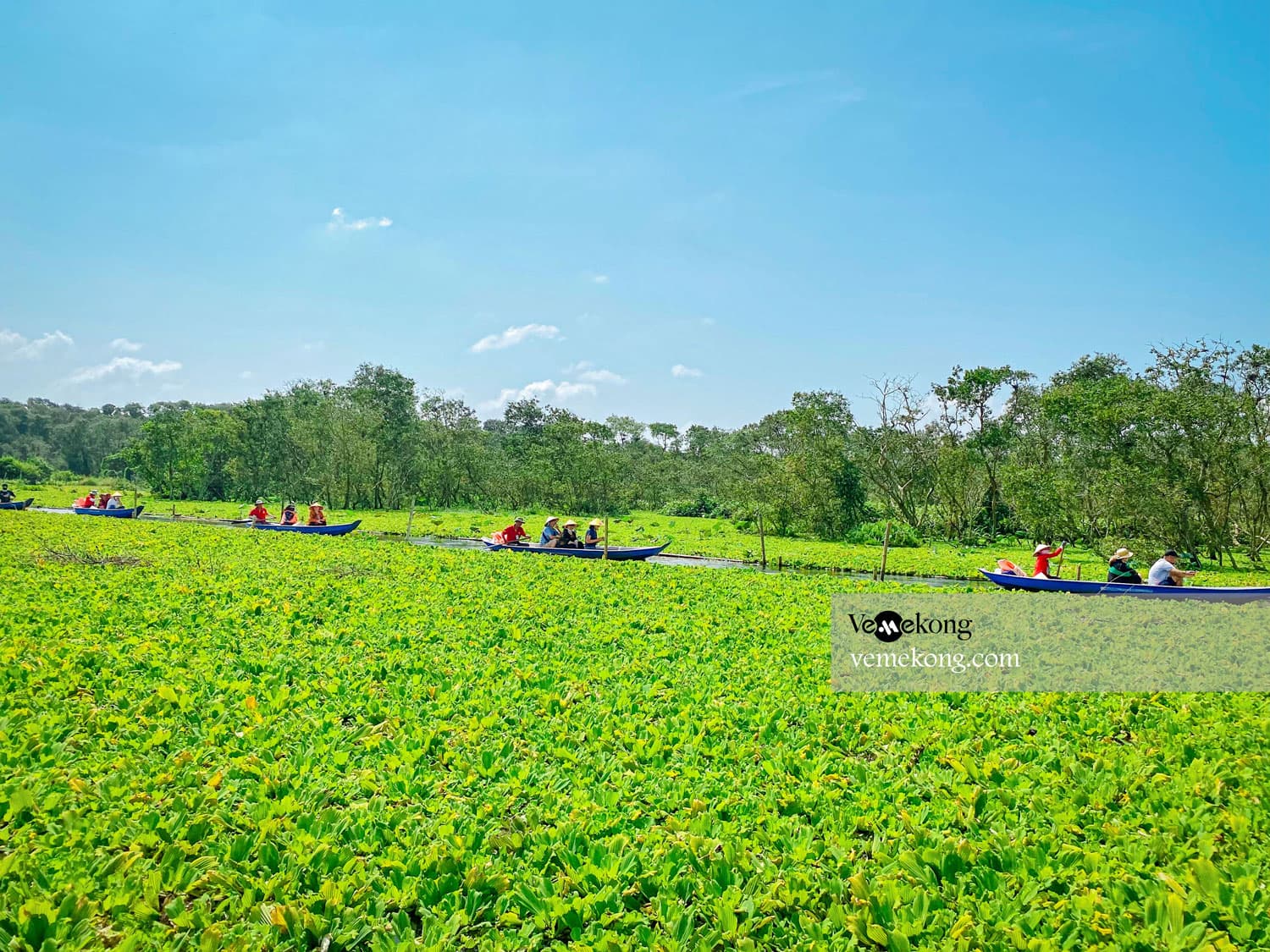 Mekong Delta & Floating Market Tour 3-Day HCMC-Can Tho-Drop off Chau Doc
