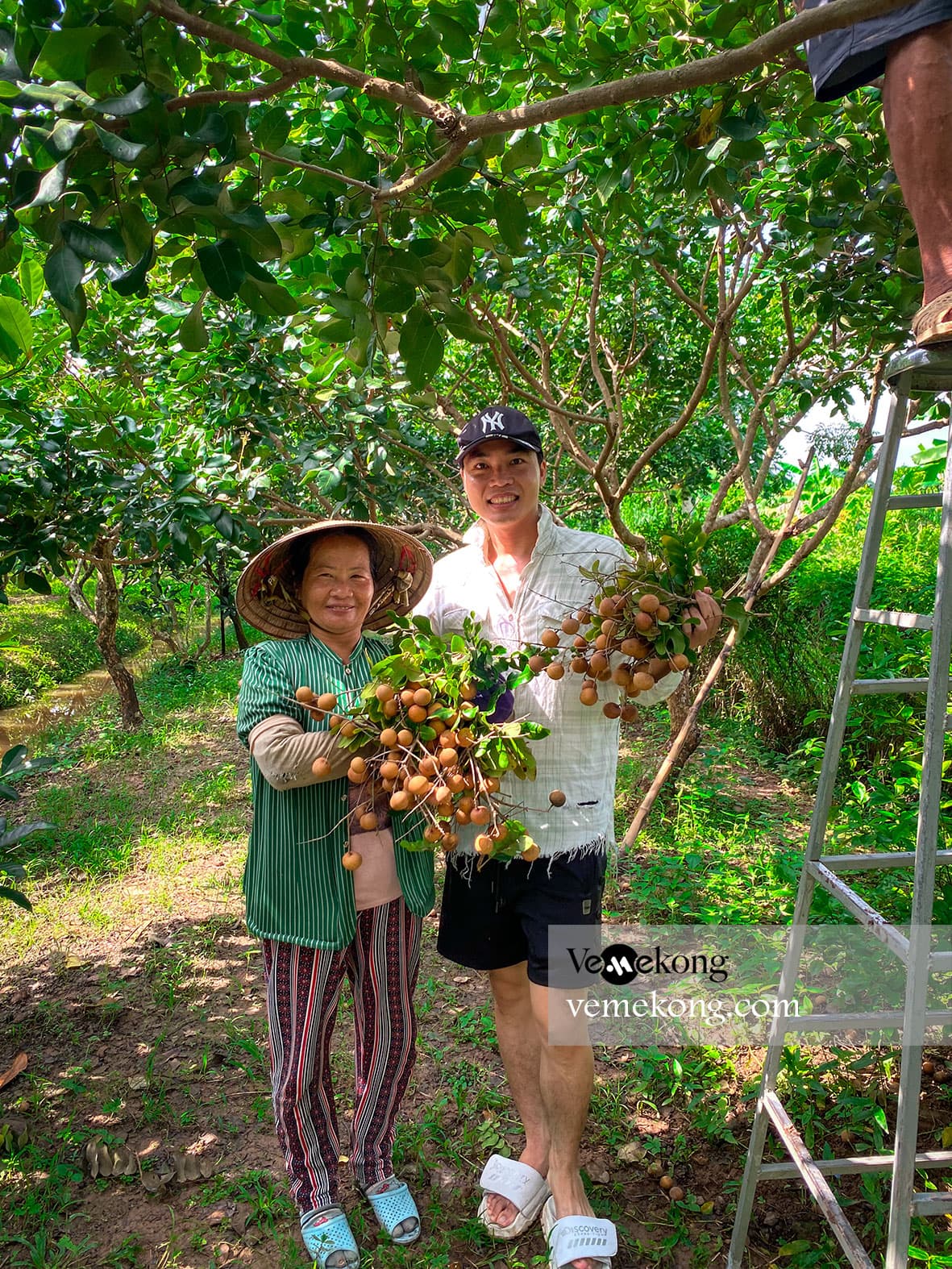 Can Tho U-Pick & Taste Fruit Garden Tour