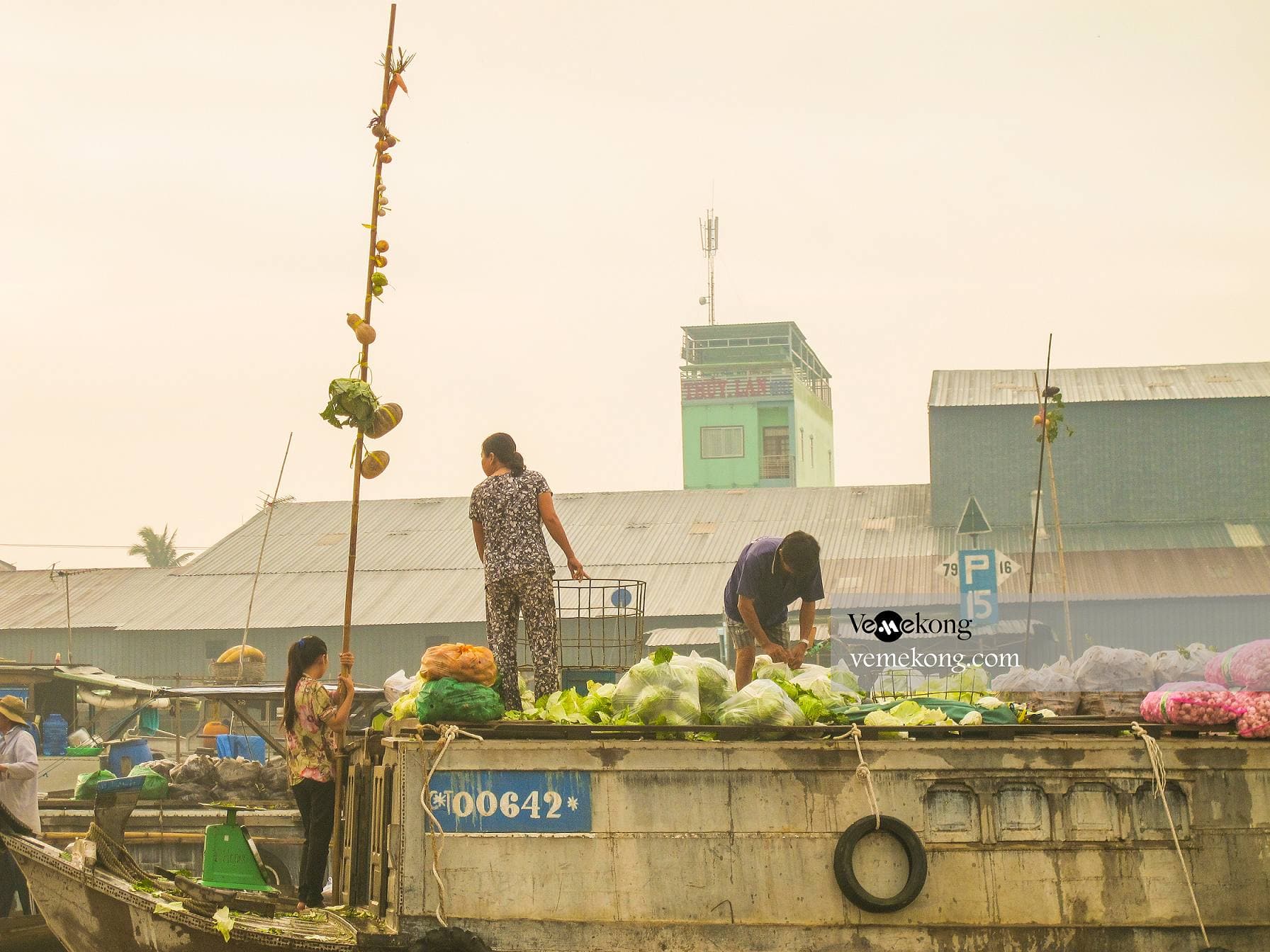 Can Tho Floating Market & U-Pick & Taste Fruit Garden Tour