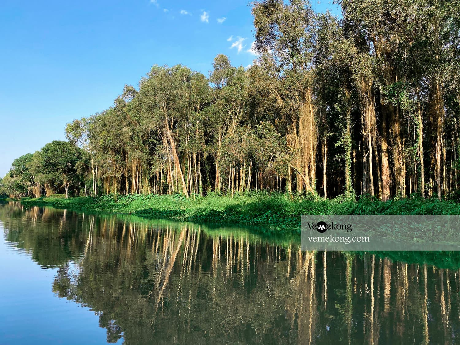 Lung Ngoc Hoang Forest Nature Reserve Tour From Can Tho