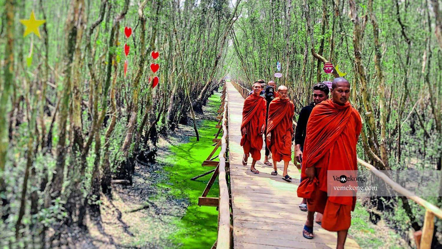 Chau Doc Tra Su Forest & Drop Off Ha Tien