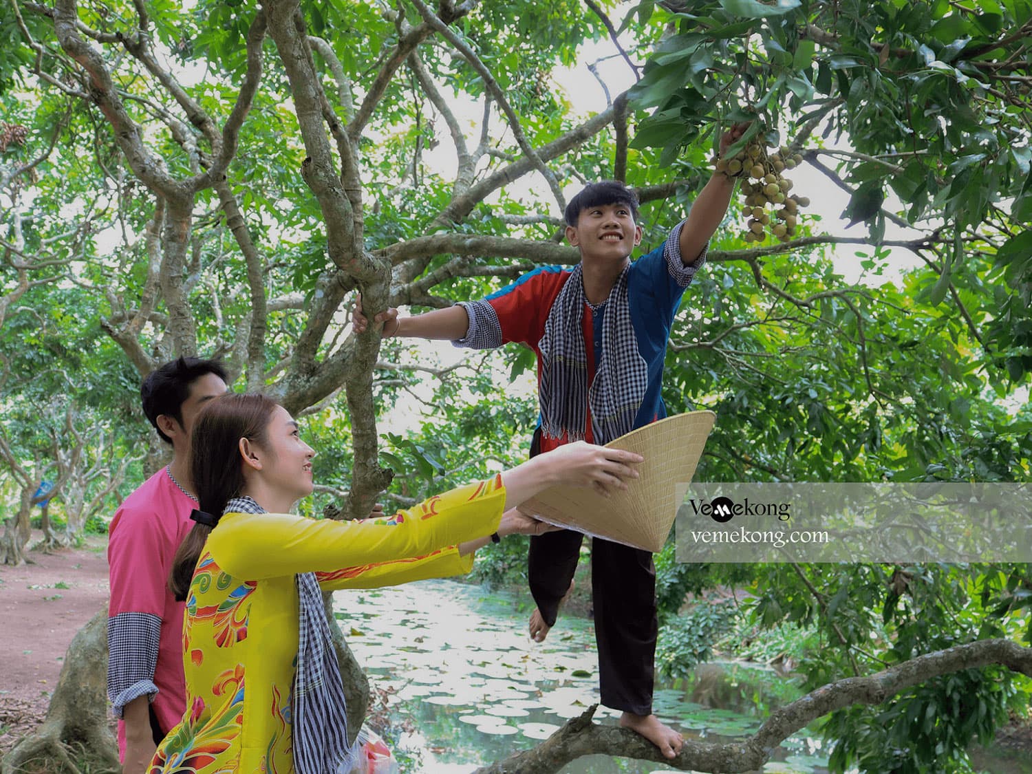 Son Islet Can Tho Tour with Tropical Fruit Garden, Duck Massage & Flying Fish