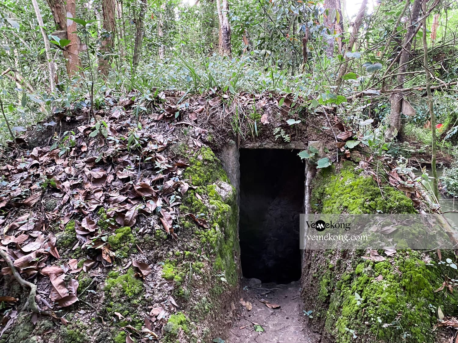 Xeo Quyt forest tour from Can Tho 1 day
