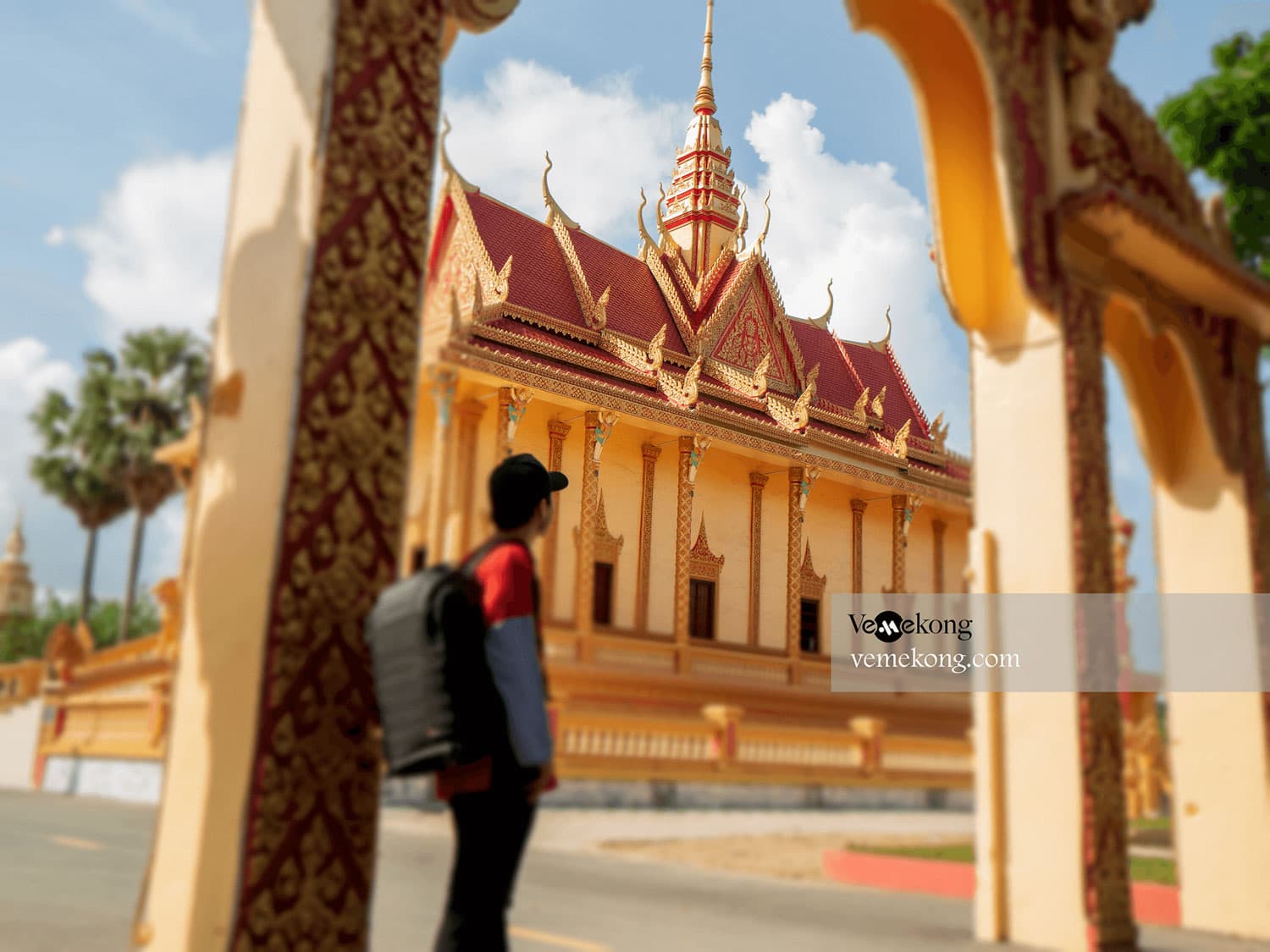 Can Tho Floating Market & Tra Su Forest Tour 1 Day