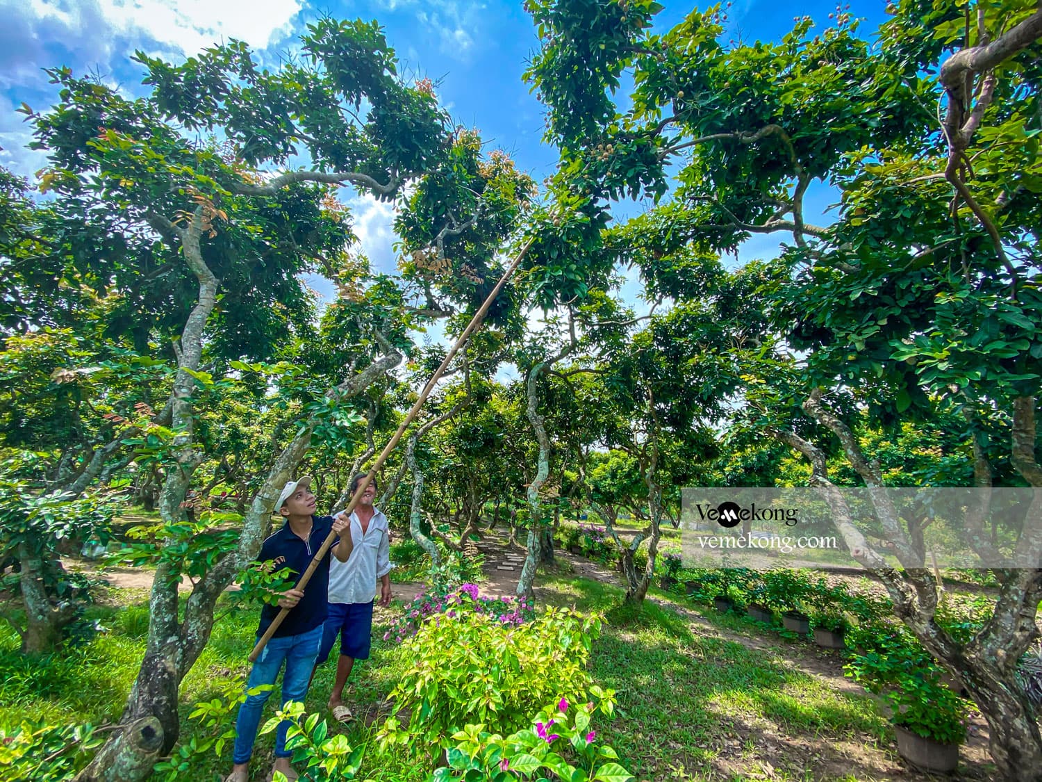 Son Islet Can Tho Tour with Tropical Fruit Garden, Duck Massage & Flying Fish