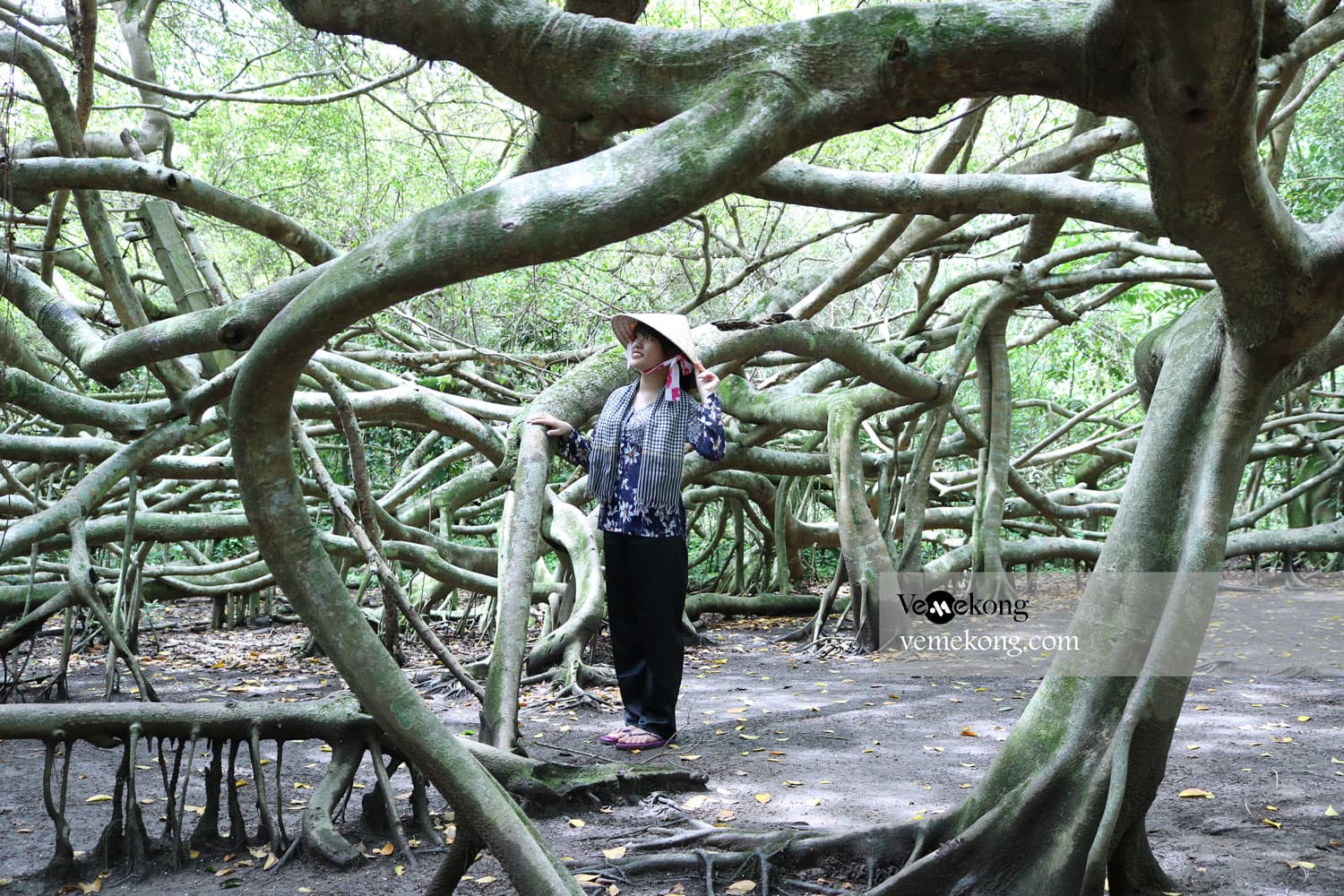 Can Tho Private Car to Rach Gia with Multi Sightseeing Stops